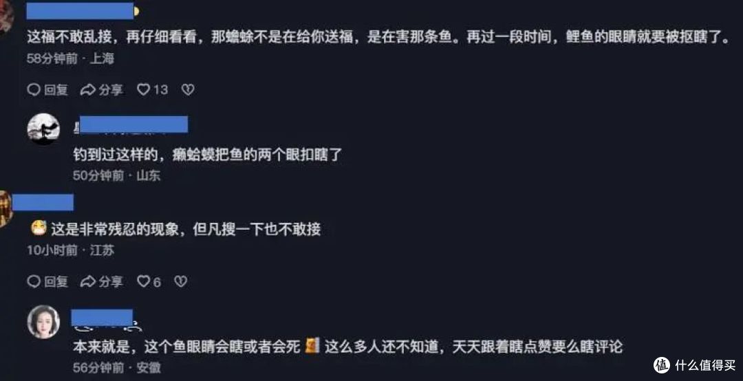 男子拍到罕见“金蟾抱鲤”，狂喜以为有福运，网友：这福不敢接