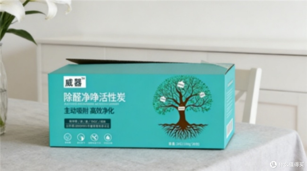 除甲醛好的是什么?十大除醛好物深度测评,榜首效果让人安心入住