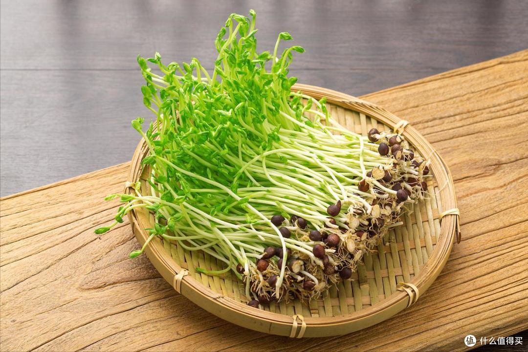 你听我的,3月吃蔬菜,首选这10样,全是时令鲜蔬,错过再等一年