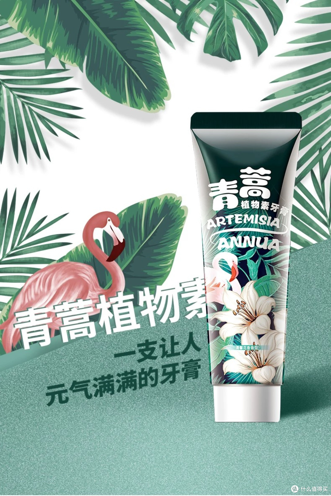 日常护龈｜口气清新神器✨打工人必入平价款