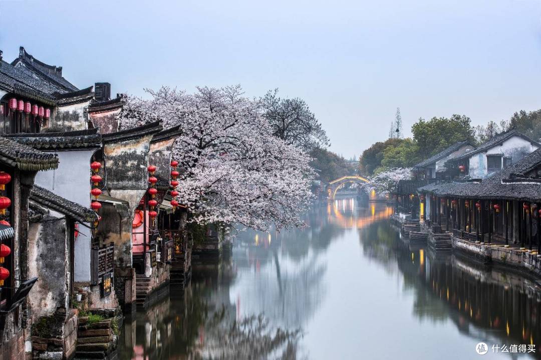 金色花海与江南雅韵:万达生活方式酒店邀您共赴江浙春日盛宴
