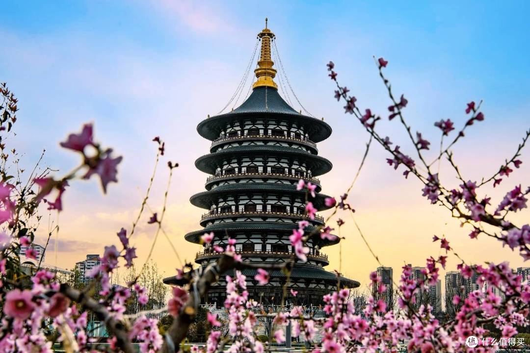 樱花满城与金色江汉万达生活方式酒店带您玩转湖北河南春日秘境