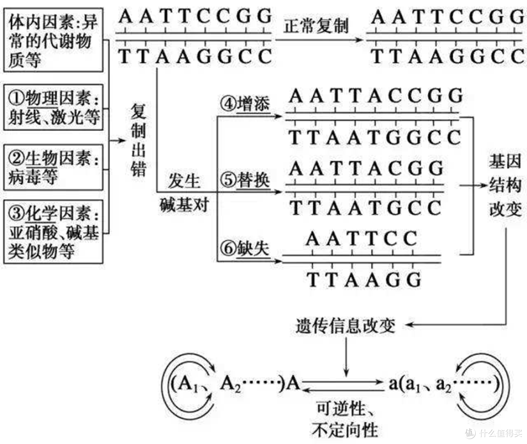 黄敏离世,中山二院患癌事件调查“谜团”何时能解?