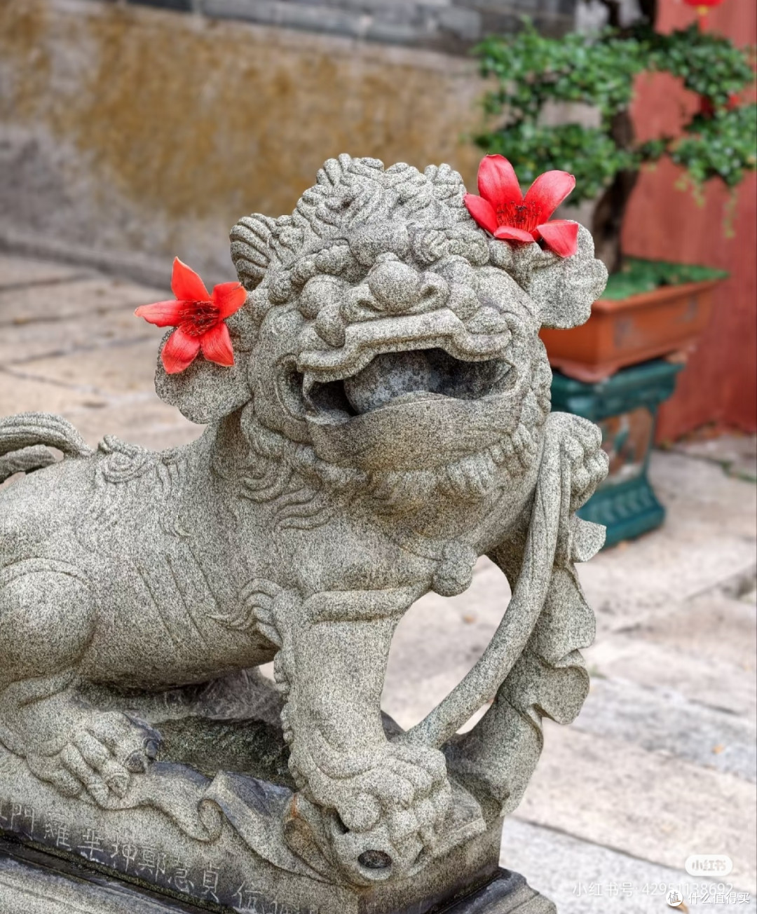 又到了攀枝花人吃攀枝花的季节,这个春天,如何最大化?