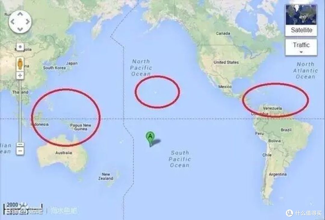 珠海惊现天价锦鲤，2 条卖美国人狂揽 24 万！
