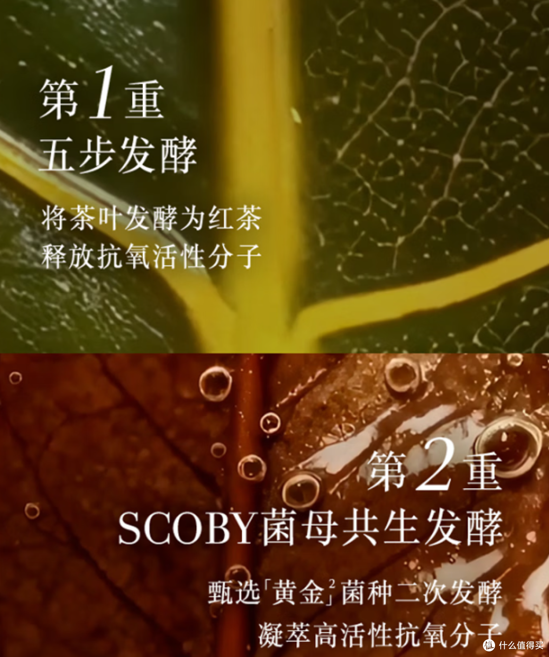 挑战素颜也能发光!996打工人看过来,你们要抗氧提亮神器来啦!
