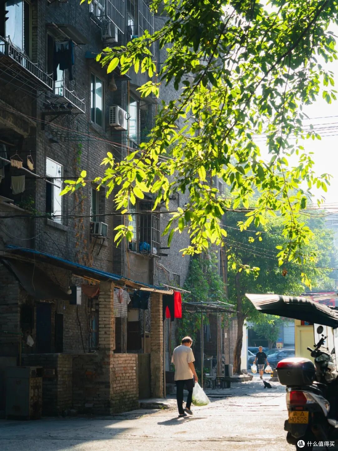 为何有钱人偷偷收购“步梯房”?房产销售说出实话,听完恍然大悟