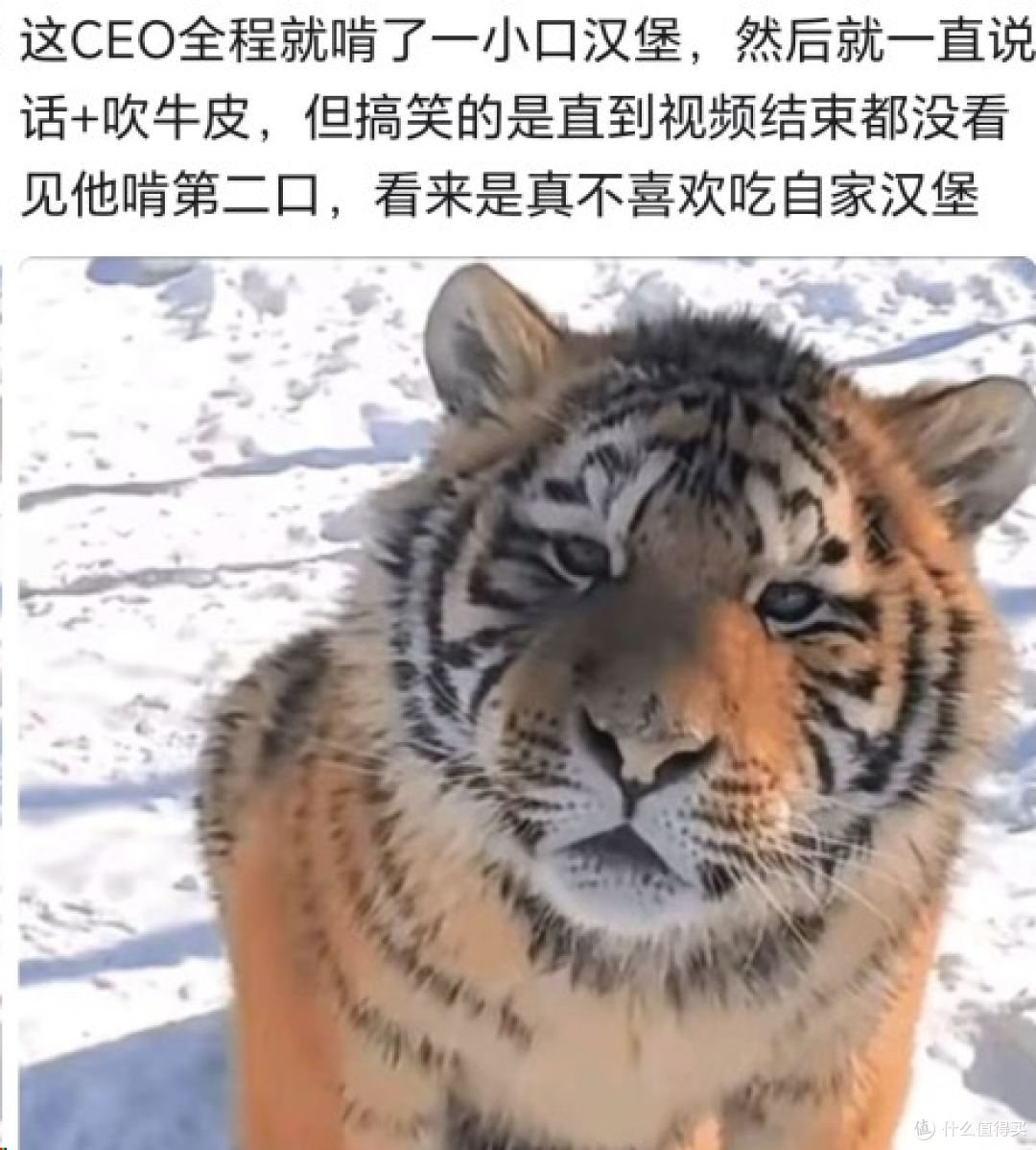 笑不活了!麦当劳 CEO 试吃新品像上刑