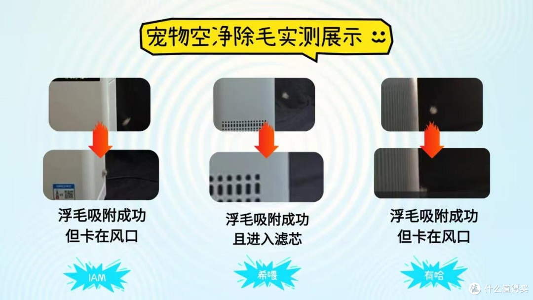 宠物空气净化器买哪个牌子好2026评测宠物空气净化器十大品牌前三
