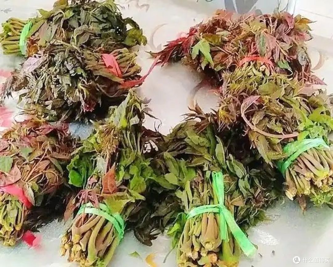 吃香椿芽的注意事项有哪些?你会怎么吃?