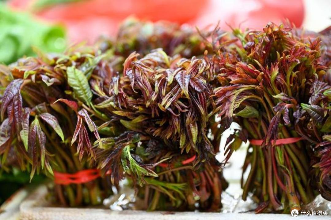 吃香椿芽的注意事项有哪些?你会怎么吃?