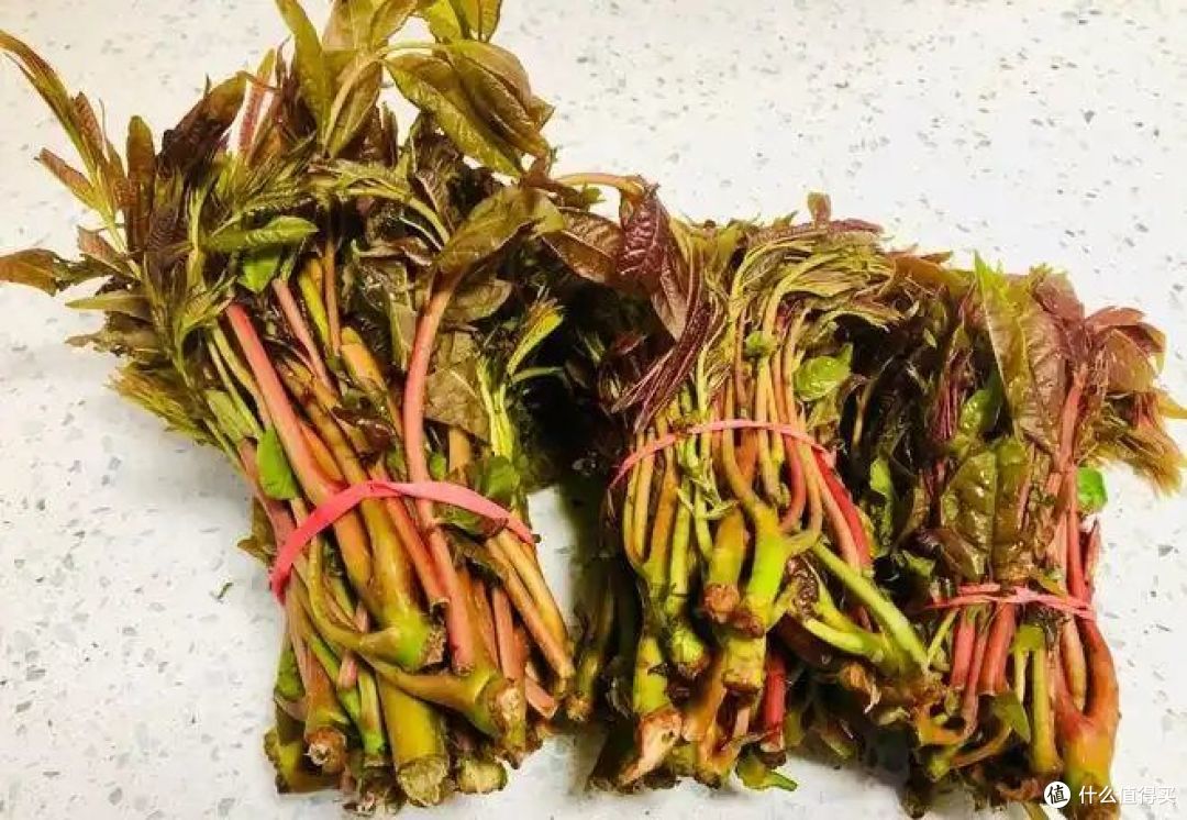 吃香椿芽的注意事项有哪些?你会怎么吃?