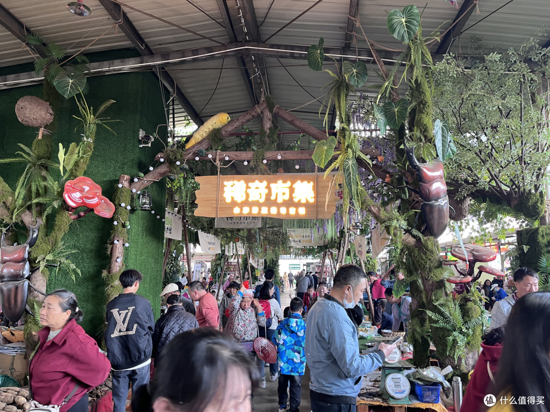 2026马年春节 两电一油云南广西4000里路云和月