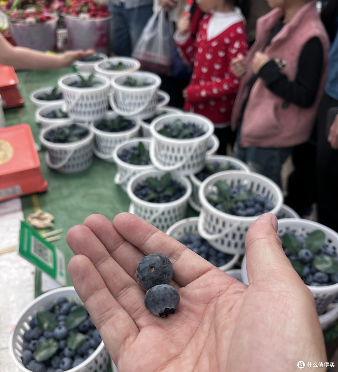 2026马年春节 两电一油云南广西4000里路云和月