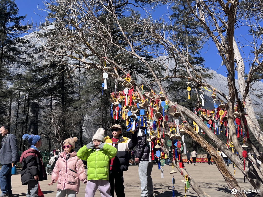 2026马年春节 两电一油云南广西4000里路云和月