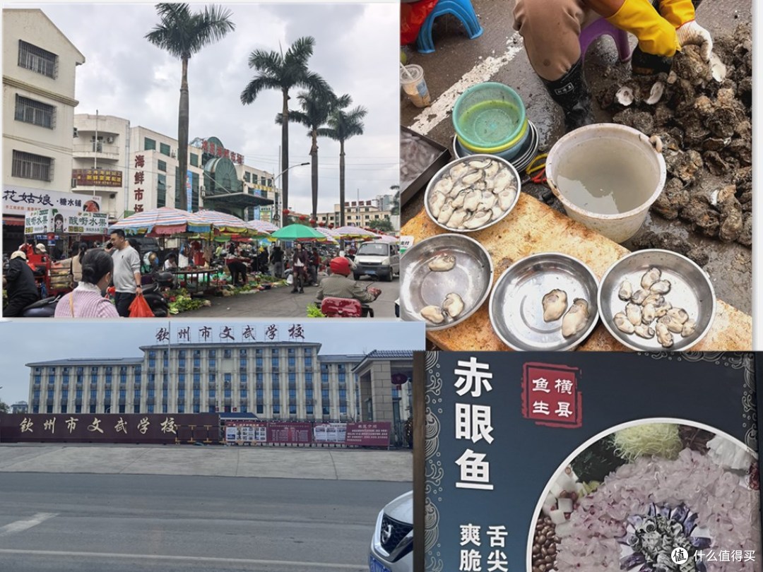 2026马年春节 两电一油云南广西4000里路云和月