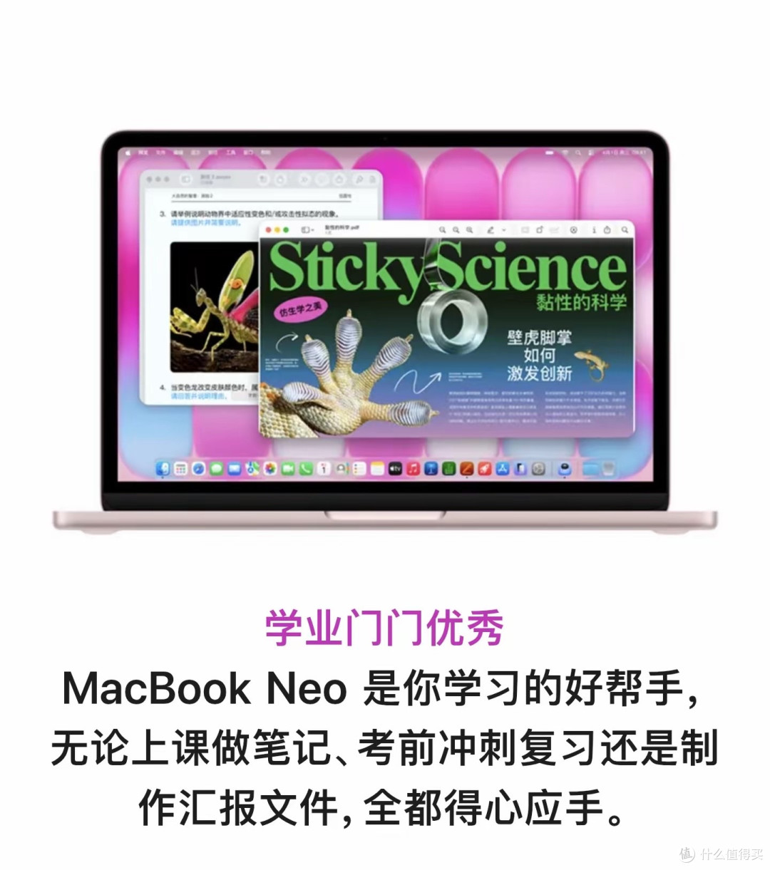 学生党杀疯了!不到3000拿下一台MacBook,友商看完心都凉了!
