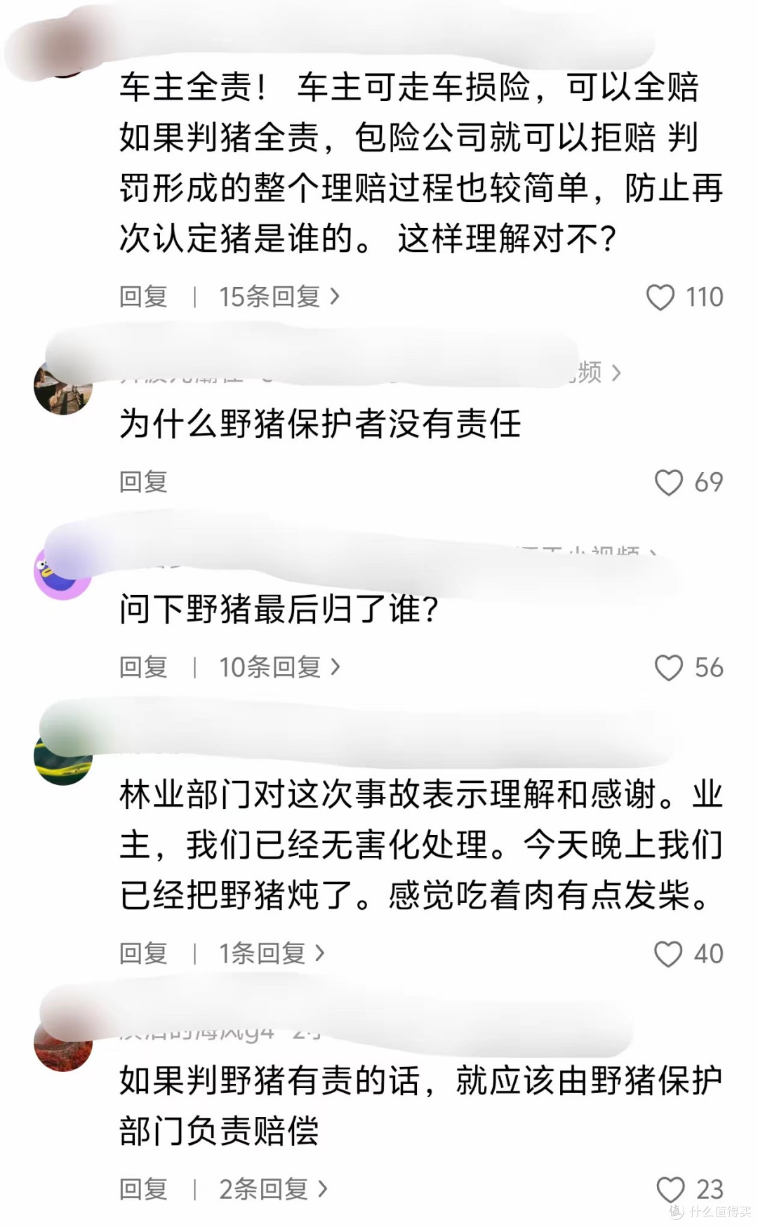 司机撞野猪被判定全责后续:车子走保险,野猪被林业局无害化处理