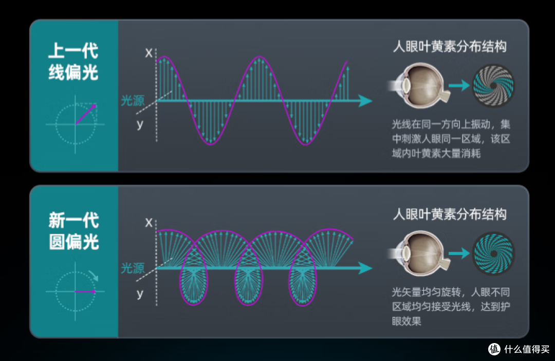 游戏护眼革命:飞利浦EVNIA弈威显示器,有料有活,5款夯品力荐