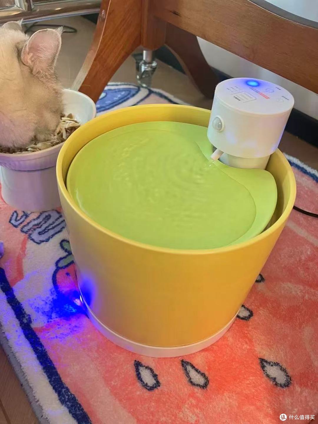 我家猫终于主动喝水了🐱✨第五代喵享家无线恒温饮水机封神