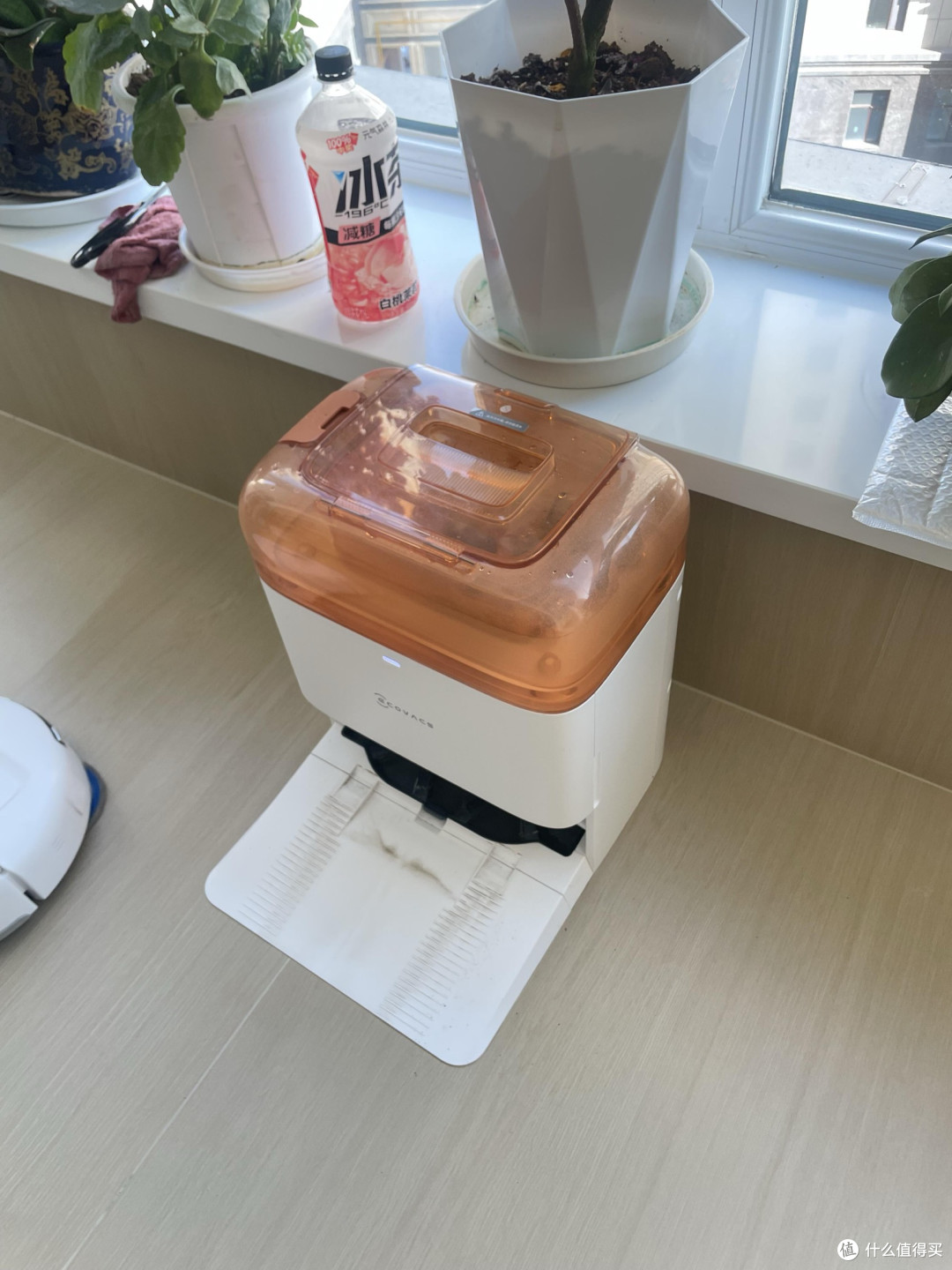 净守团圆,智启新程——让科沃斯地宝成为您马年新春