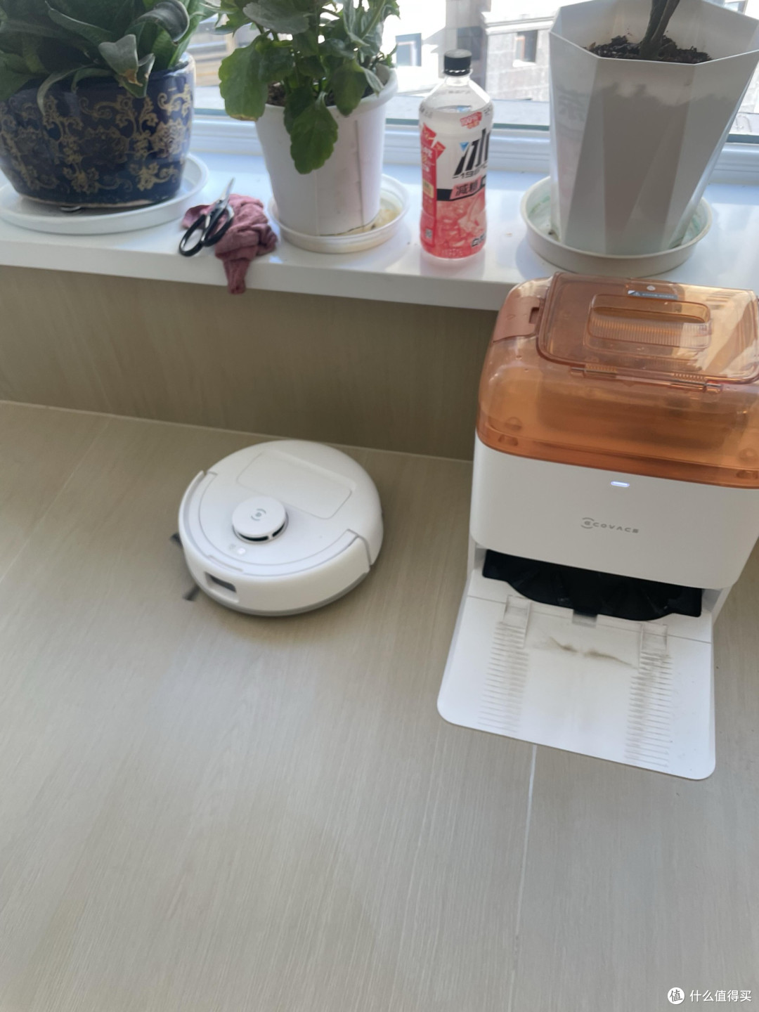 净守团圆,智启新程——让科沃斯地宝成为您马年新春