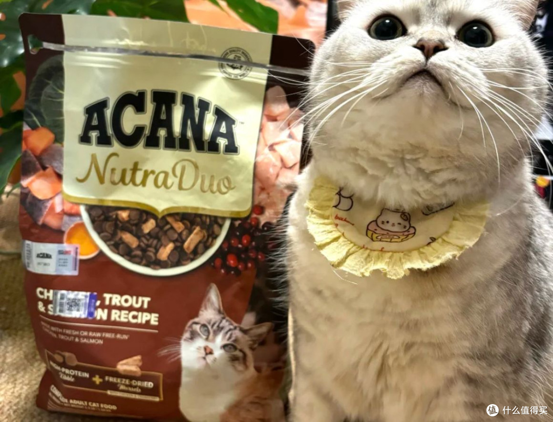 猫粮多少钱?2026硬核对比希喂、百利、爱肯拿猫粮质量怎么样
