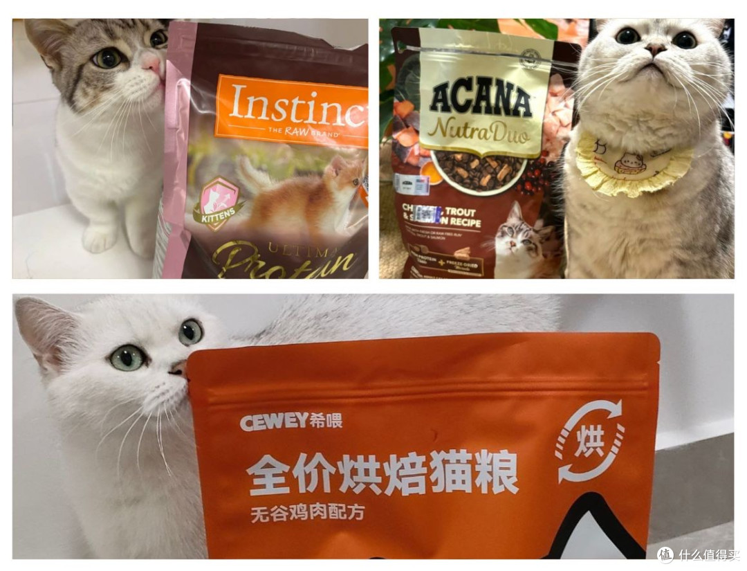 猫粮多少钱?2026硬核对比希喂、百利、爱肯拿猫粮质量怎么样
