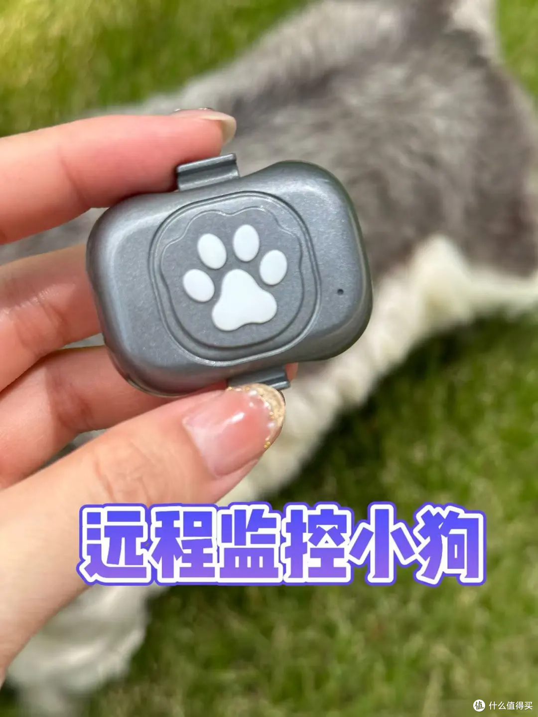 出差在外,多亏了68宠物定位器才知道小狗没乱跑