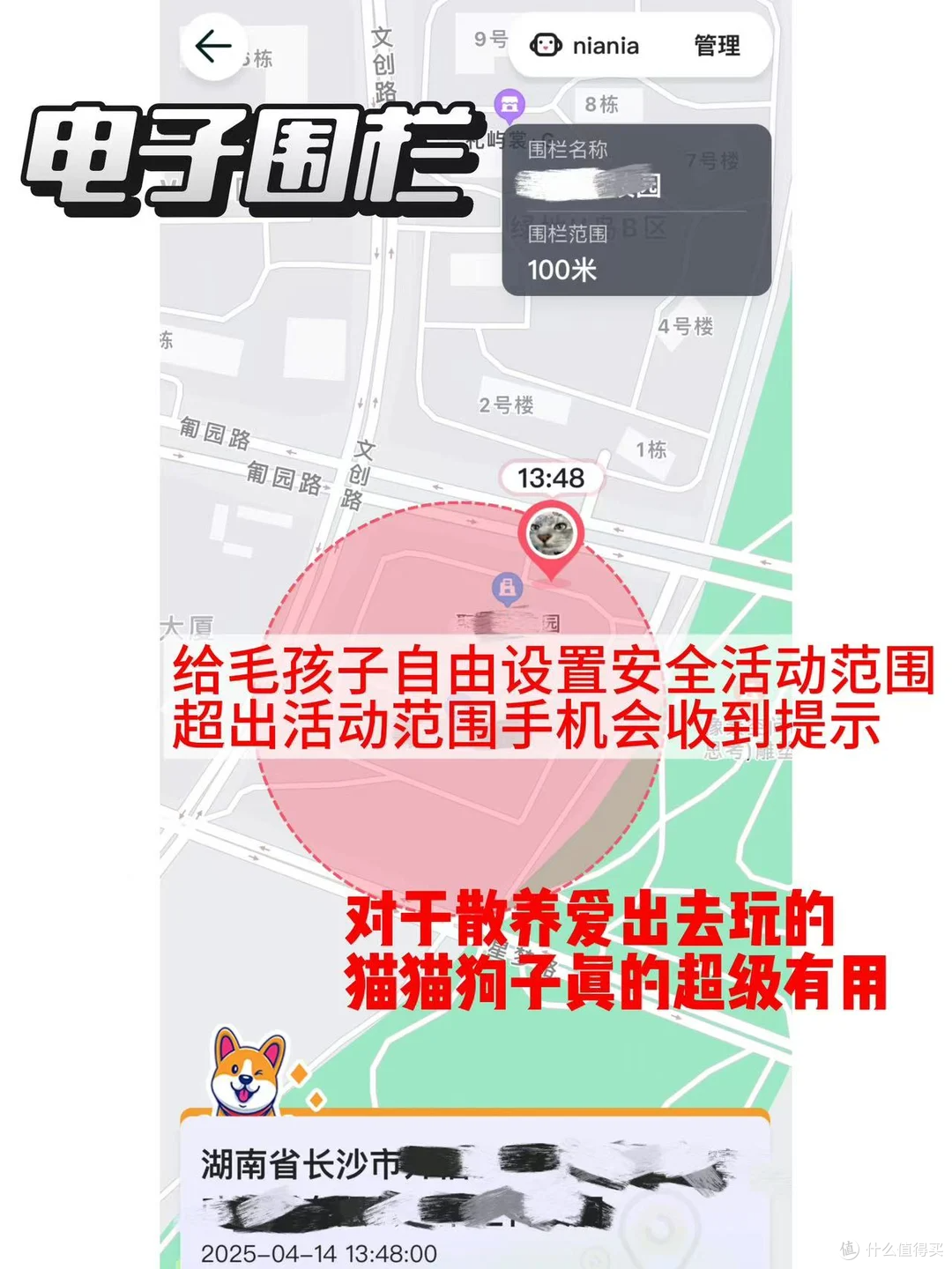 出差在外,多亏了68宠物定位器才知道小狗没乱跑