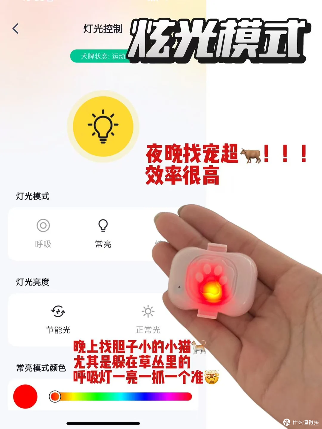 出差在外,多亏了68宠物定位器才知道小狗没乱跑