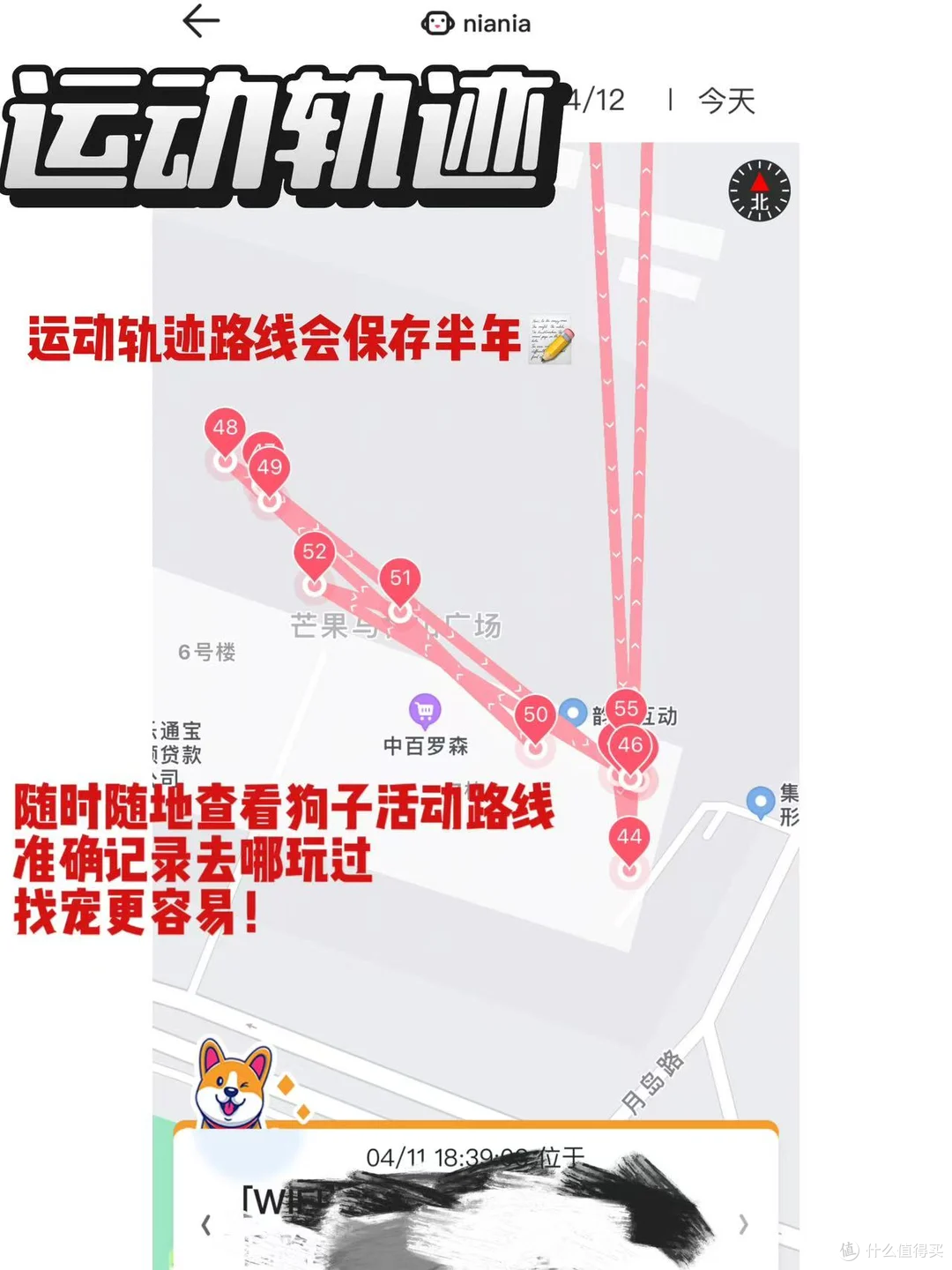 出差在外,多亏了68宠物定位器才知道小狗没乱跑