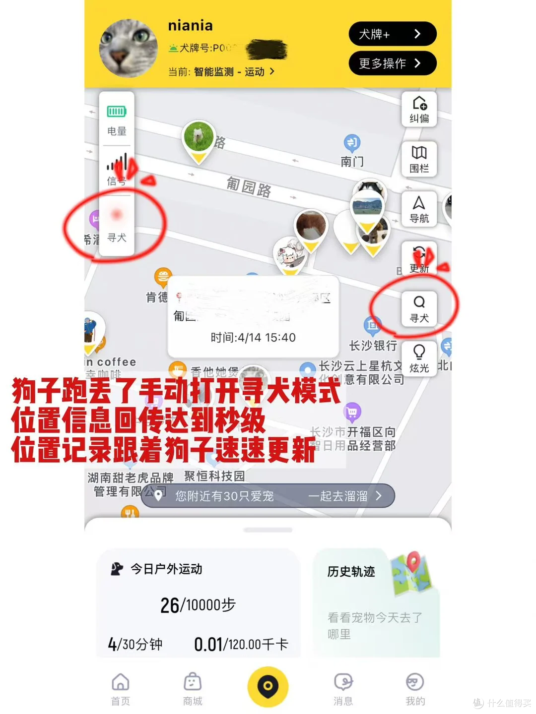 出差在外,多亏了68宠物定位器才知道小狗没乱跑