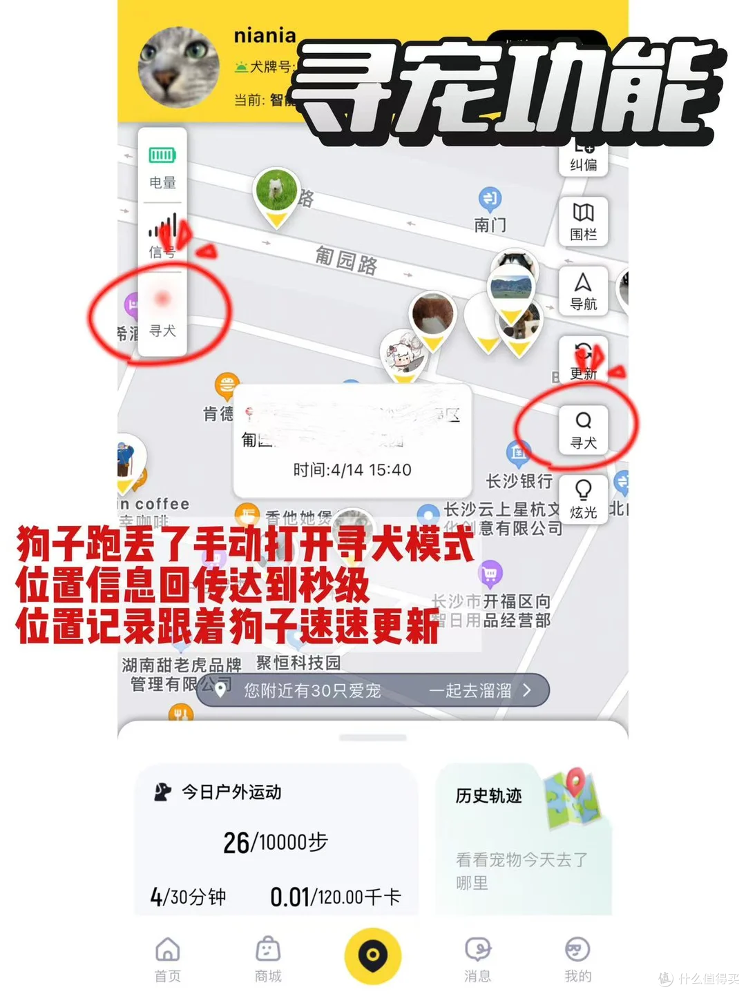 出差在外,多亏了68宠物定位器才知道小狗没乱跑