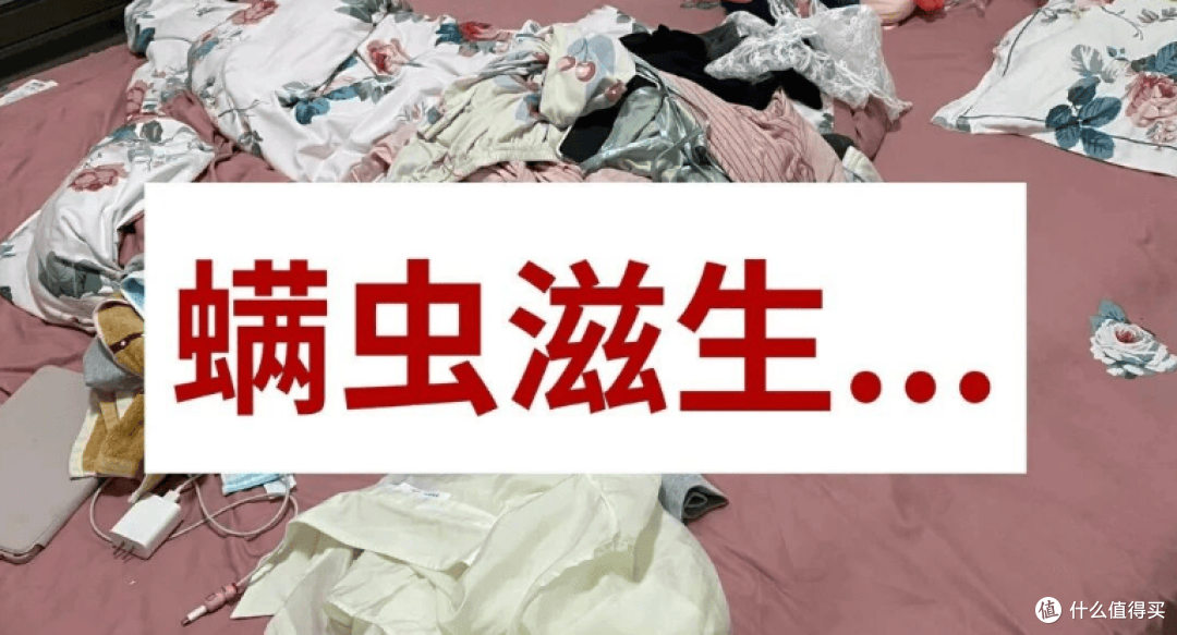 除螨仪排行第一名是哪款？怎样选除螨仪效果最好？