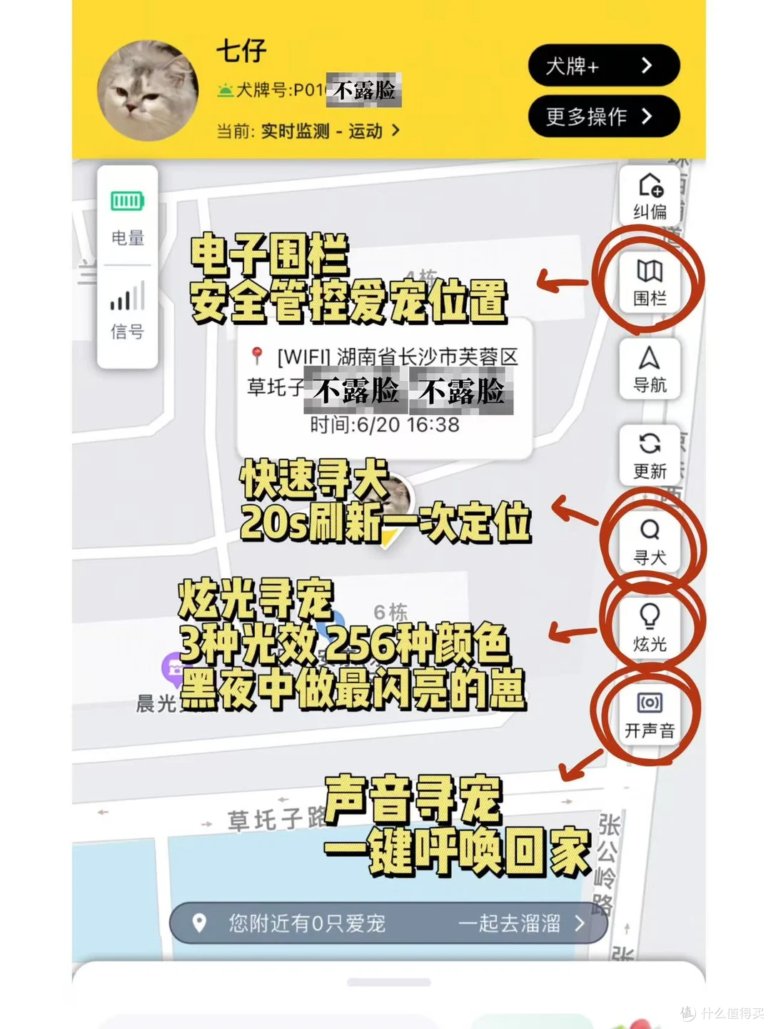狗狗走失代价很高，预防成本却很小