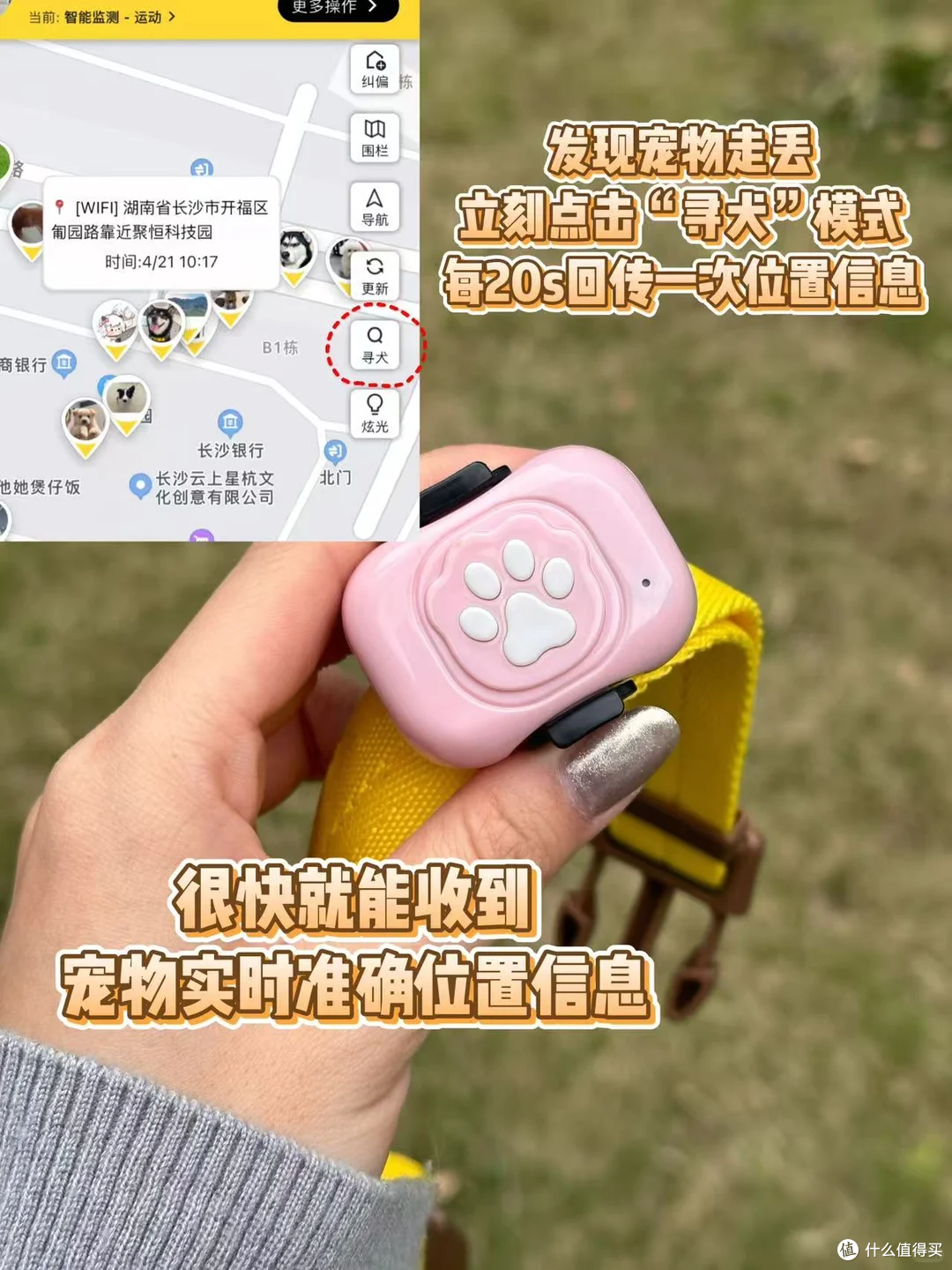 狗狗走失代价很高，预防成本却很小