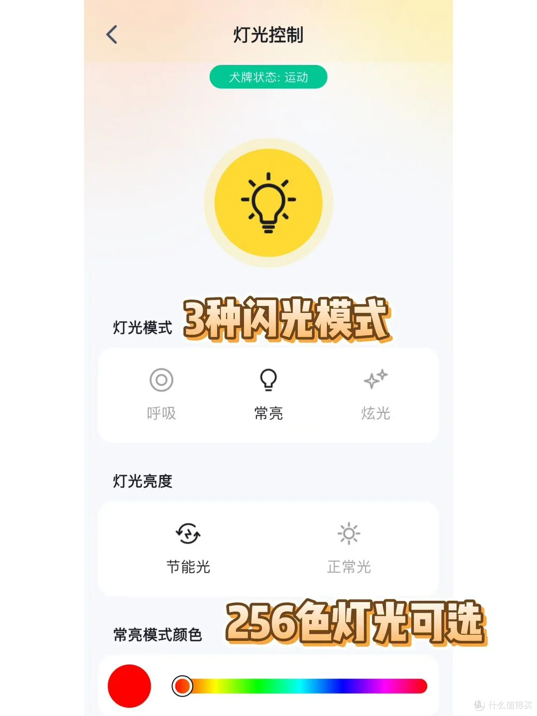 狗狗走失代价很高，预防成本却很小
