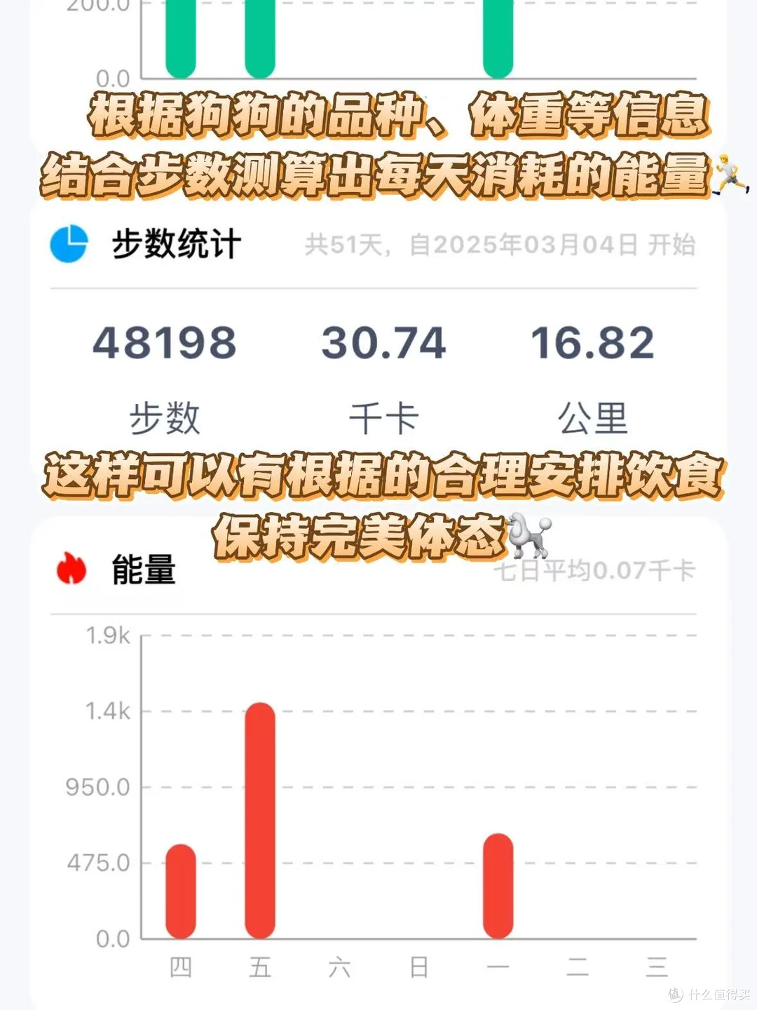 狗狗走失代价很高，预防成本却很小