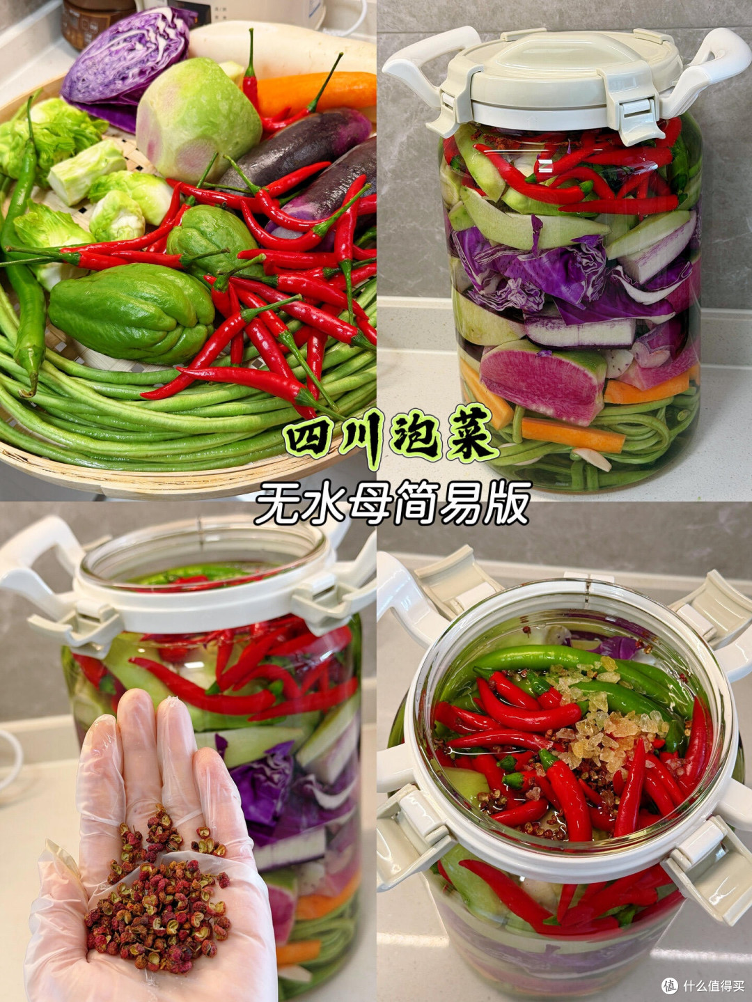 四川泡菜无水母一次就成功简单起坛制作教程