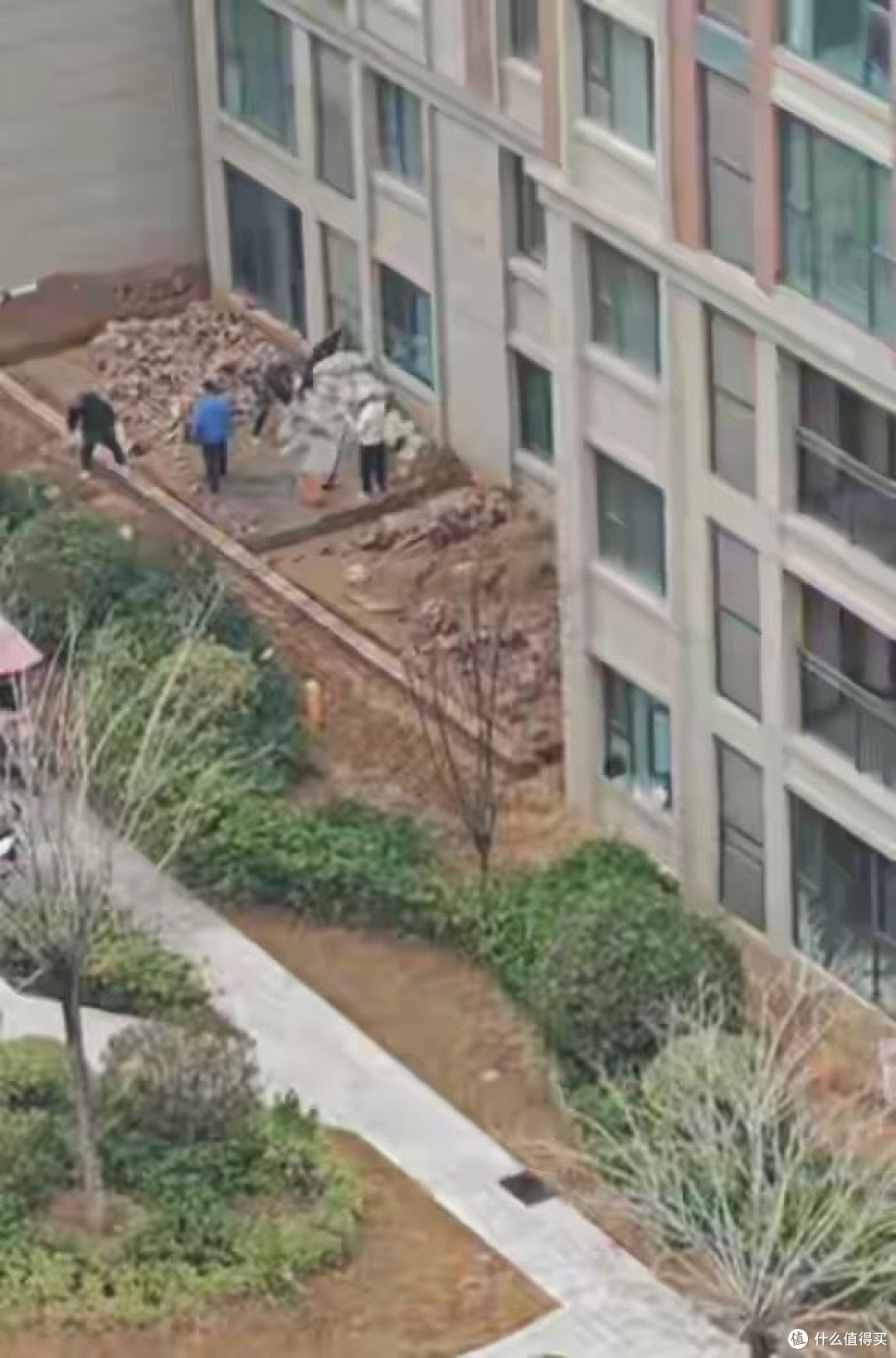 物业撤场才5天,小区就有人开始圈地建院子了,这操作真让人开眼