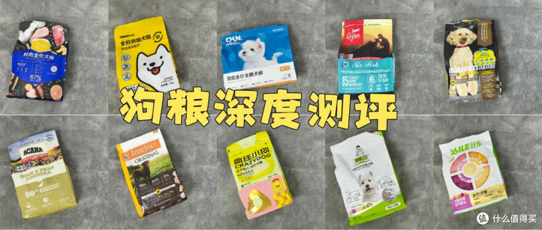烘焙狗粮什么品牌好吃又健康？2026 排名前五选购指南不踩坑！