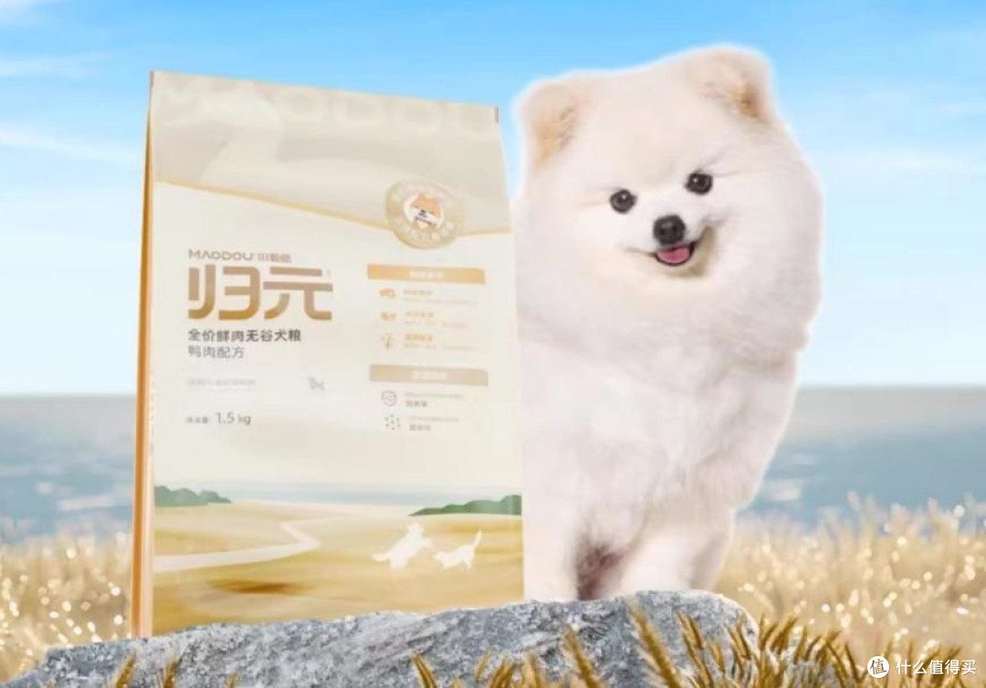 烘焙狗粮什么品牌好吃又健康？2026 排名前五选购指南不踩坑！