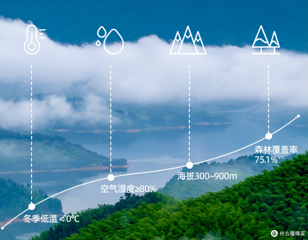 十大石斛排名第一名:质量口碑双料冠军,榜首顶级地位实至名归