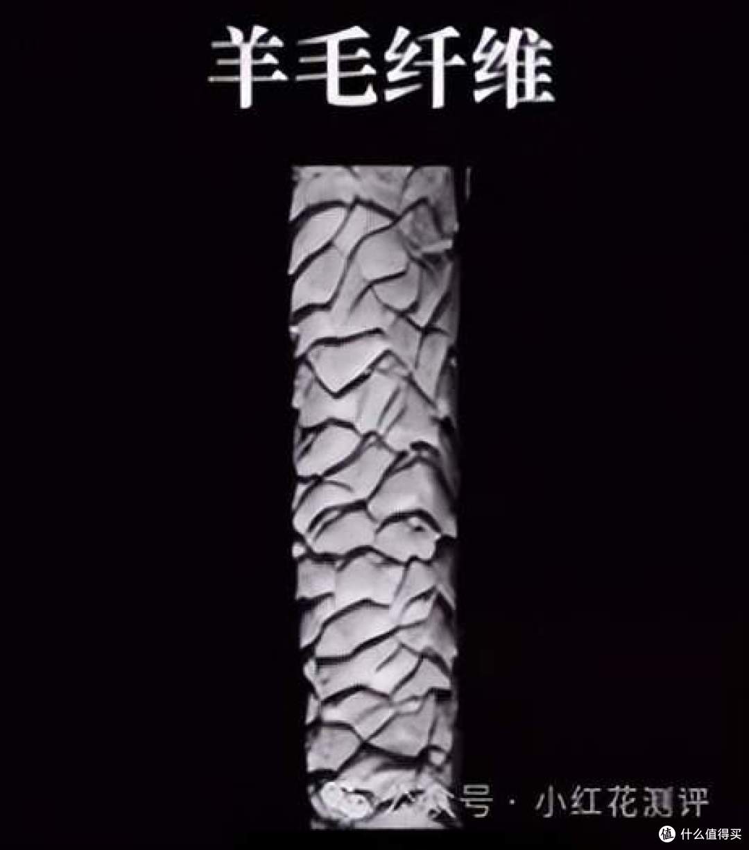 别让几千块毁在清洗上!冬季衣物洗护指南:这些坑千万别踩!