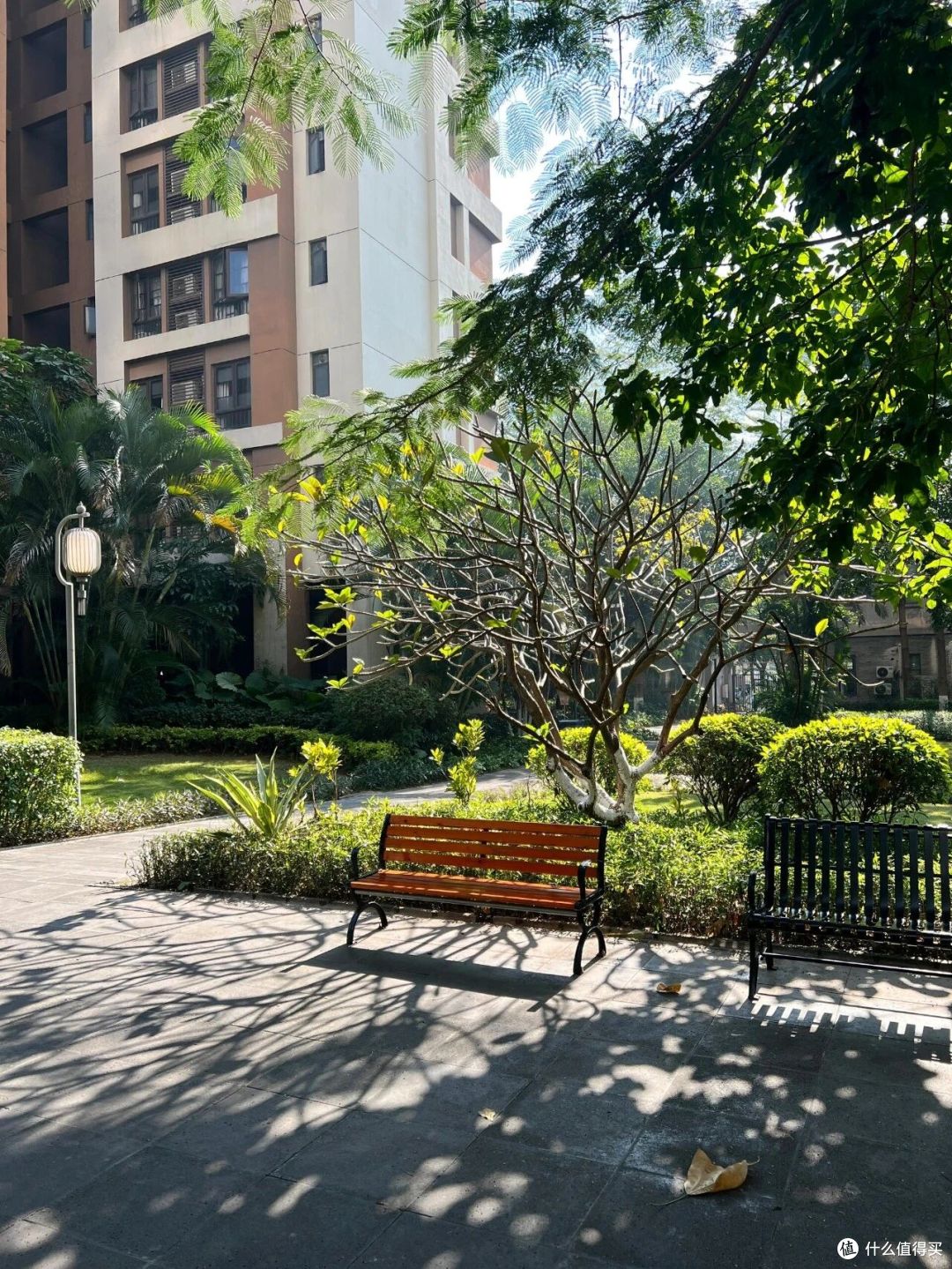 为啥“宁空不租”现象越来越多？房东说出了大实话，太扎心了
