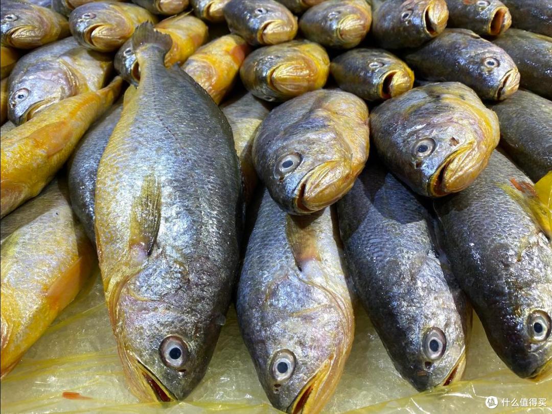 春天,夏天,秋天,冬天,分别吃哪些应季海鲜?吃对了才健康!