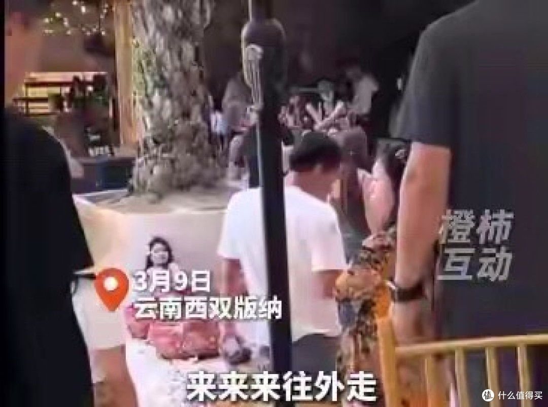 西双版纳景区发致歉信,承认驱赶游客,工作人员沟通太生硬