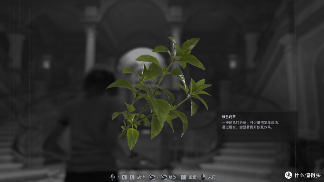 路径追踪+DLSS 4.5,游戏《生化危机:安魂曲》,首选RTX50系显卡