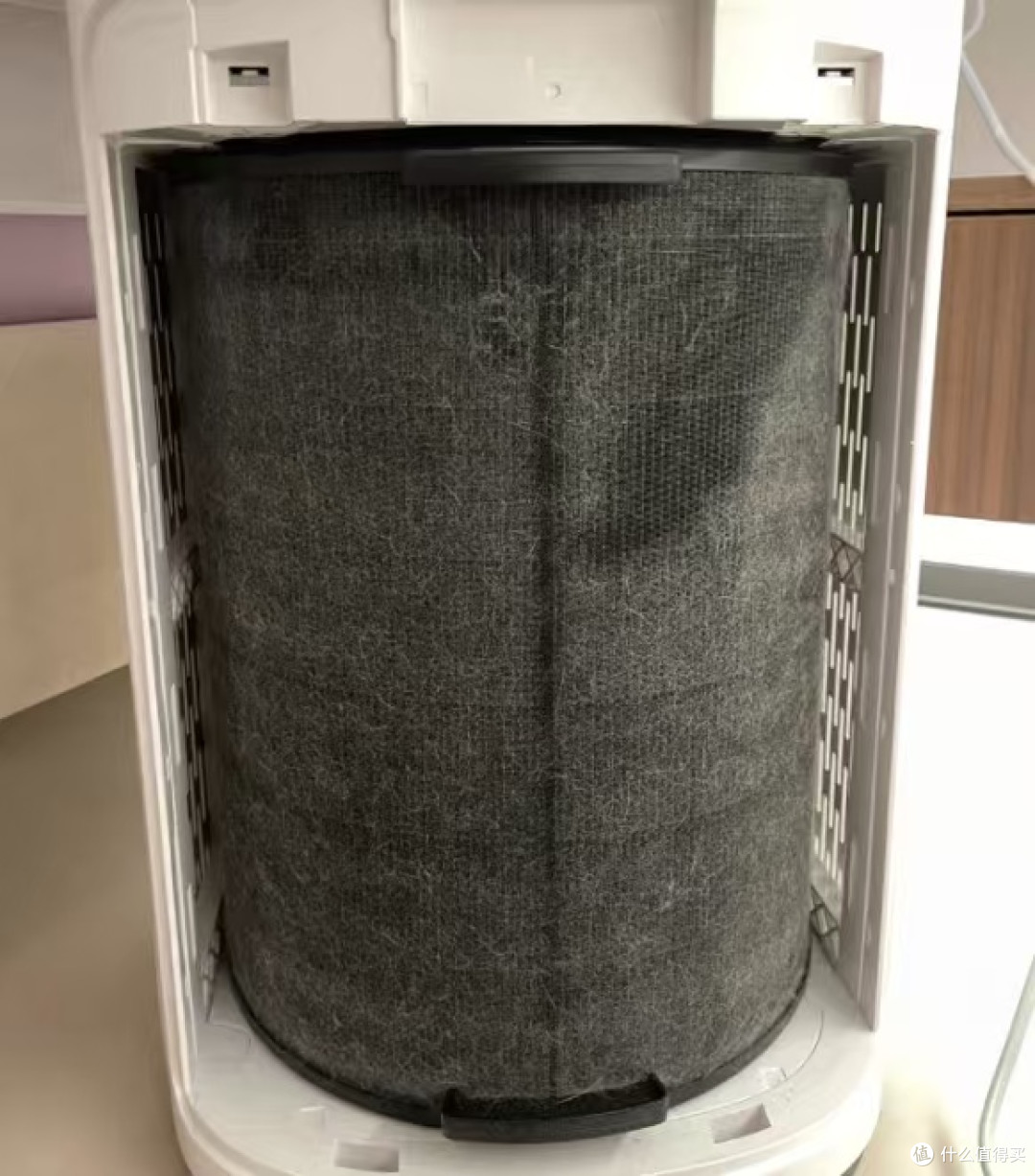 养宠家庭有必要入手空气净化器吗?美的R8空气净化加湿器使用分享